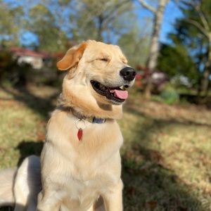 Meet your Posher, Rhianna